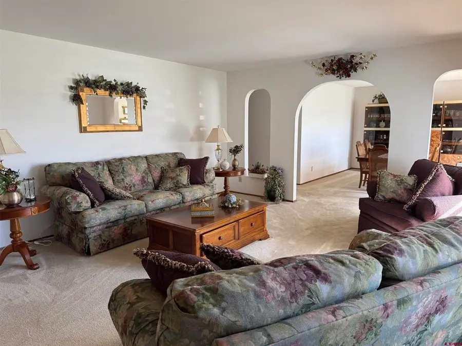 5811 Blue Spruce Avenue, Alamosa, CO 81101 - #3