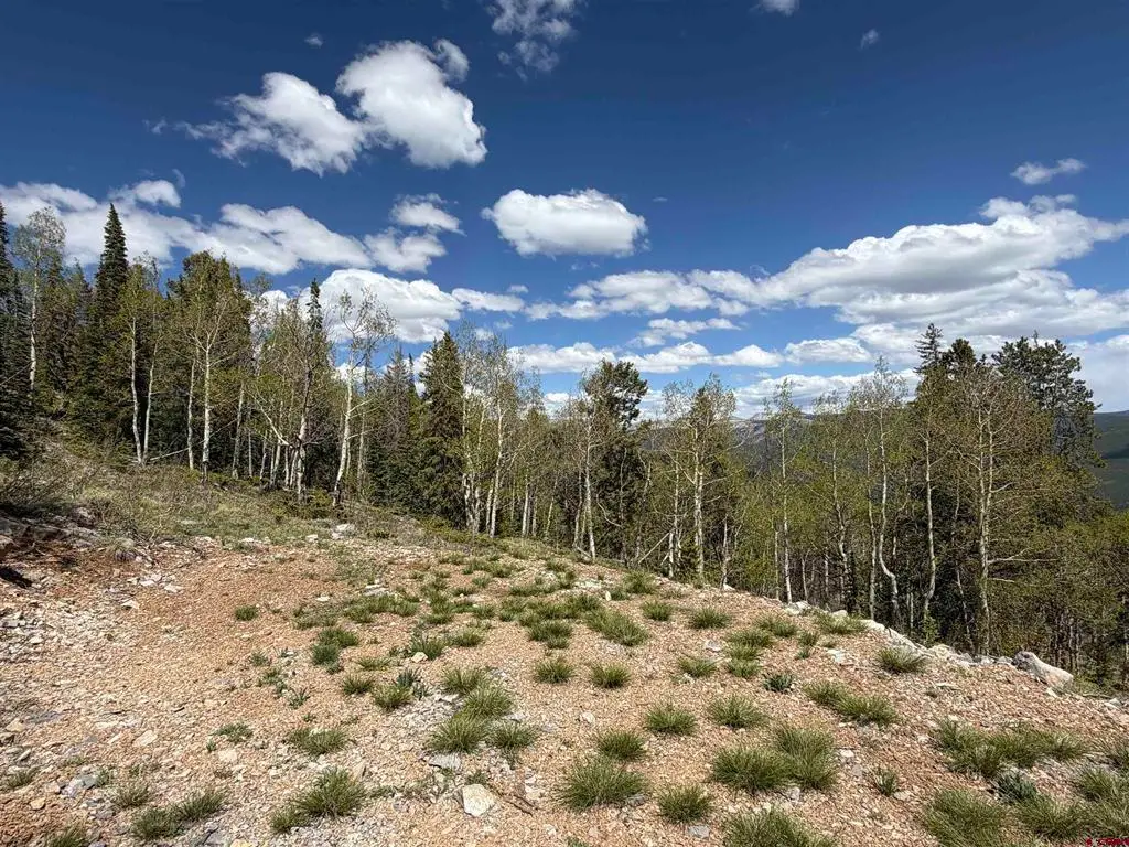 159 Lime Bluff Drive, Pitkin, CO 81241 - #1