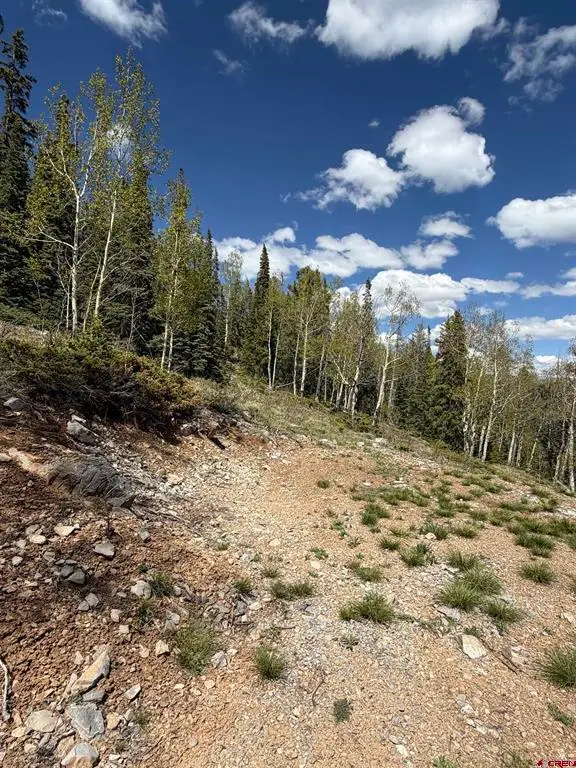 159 Lime Bluff Drive, Pitkin, CO 81241 - #3