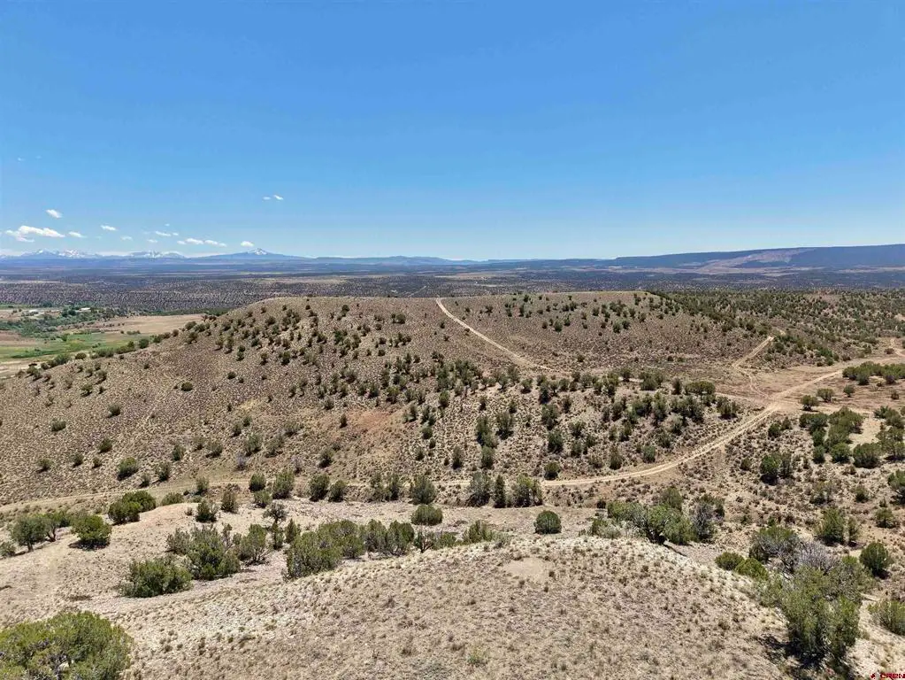 TBD Hwy 97, Nucla, CO 81424 - #1