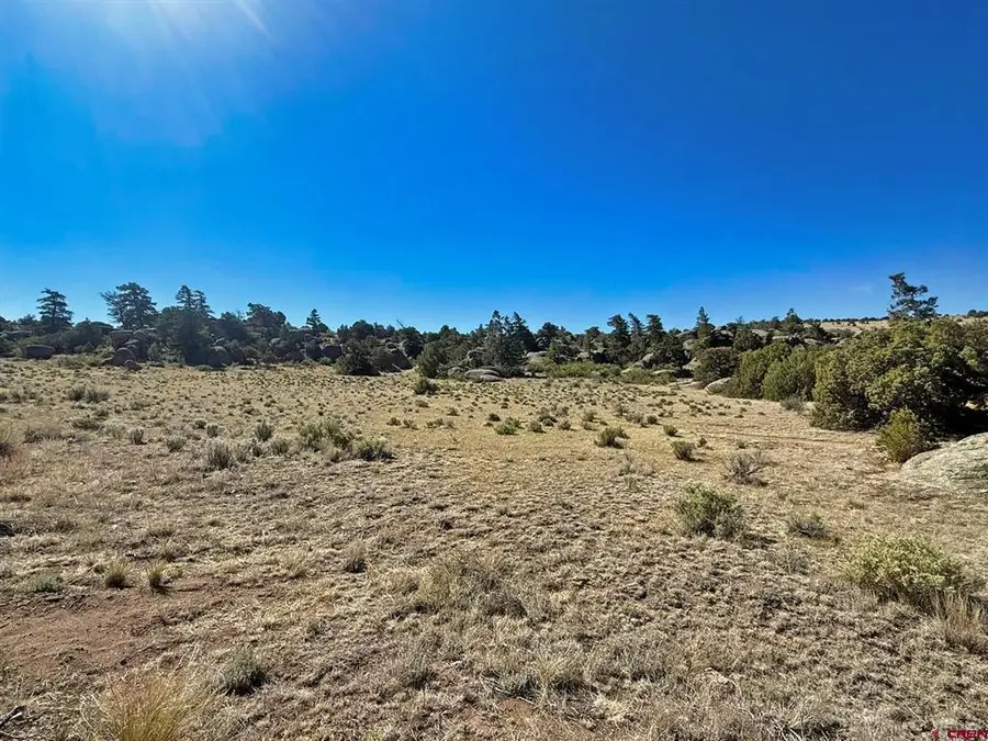 114 Antares Road, Del Norte, CO 81132 - #2