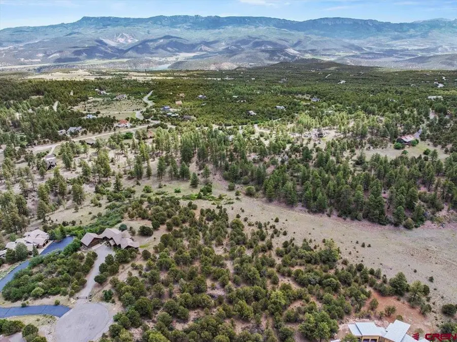 TBD Lot 233 Woodchuck Lane, Ridgway, CO 81432 - #2