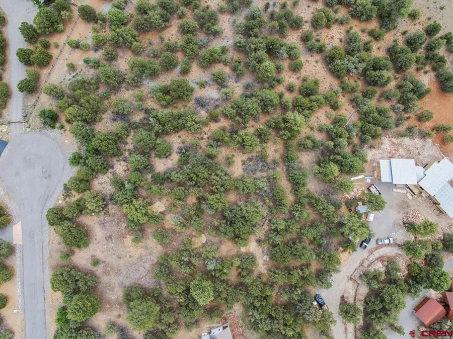 TBD Lot 233 Woodchuck Lane, Ridgway, CO 81432 - #3