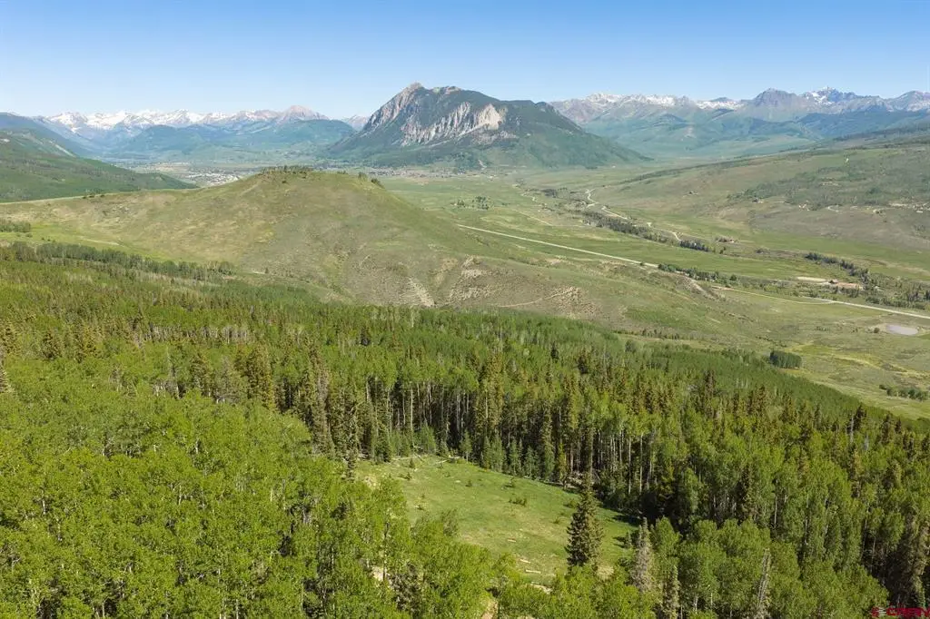 141 White Buffalo Trail, Crested Butte, CO 81224 - #1
