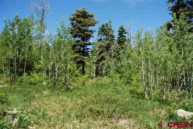 X Cold Springs Ct., Pagosa Springs, CO 81147 - #1