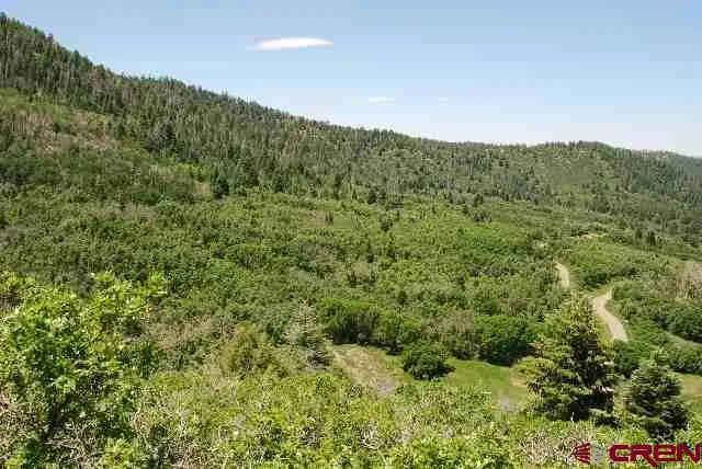X Cold Springs Ct., Pagosa Springs, CO 81147 - #3