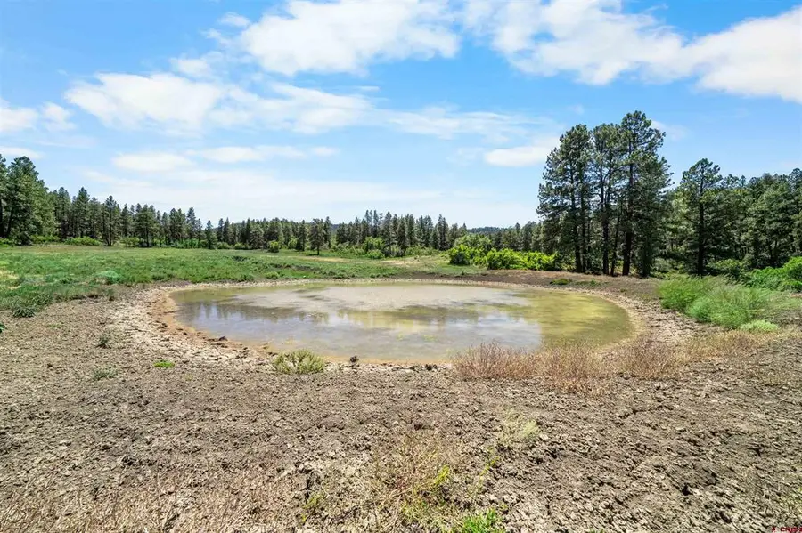 73 Parelli Institute Drive, Pagosa Springs, CO 81147 - #3
