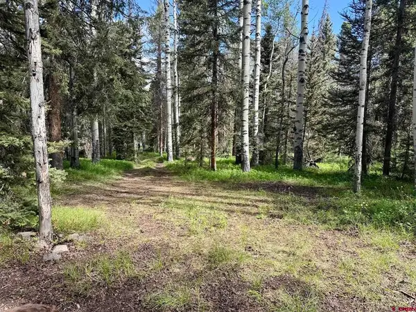 425 Aspen Trail, Cimarron, CO 81220