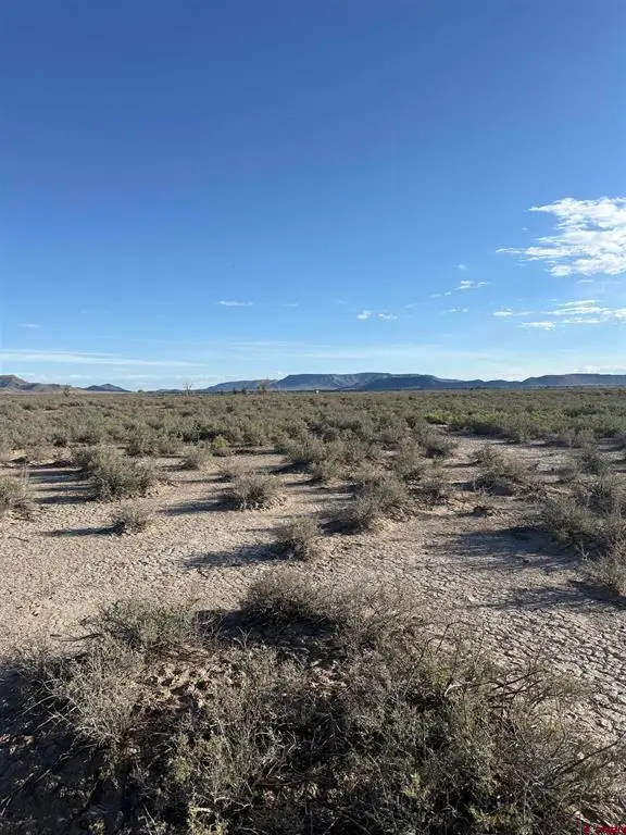 TBD Big Bend Road, Sanford, CO 81123 - #2