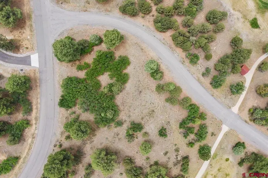 TBD Lot 219 Marmot Drive, Ridgway, CO 81432 - #2