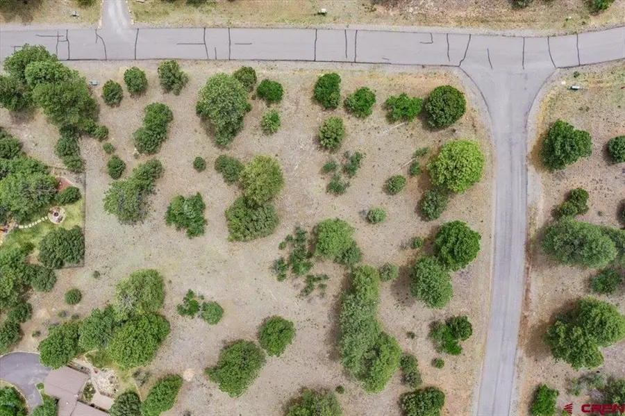 TBD Lot 308 Bear Cub Drive, Ridgway, CO 81432 - #3