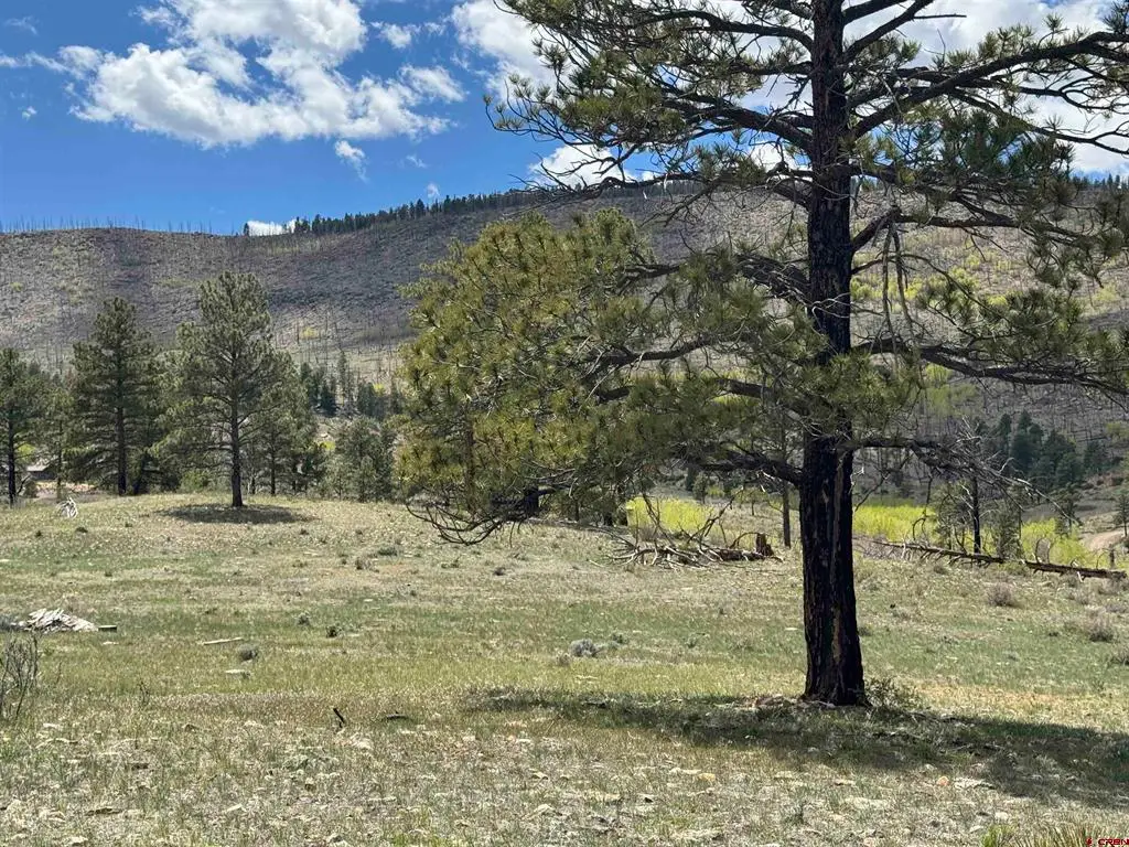 150 Rickel Circle, South Fork, CO 81154 - #1
