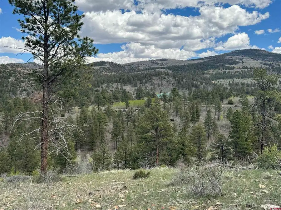 150 Rickel Circle, South Fork, CO 81154 - #2