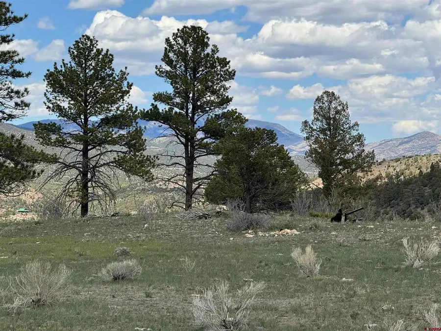 150 Rickel Circle, South Fork, CO 81154 - #3