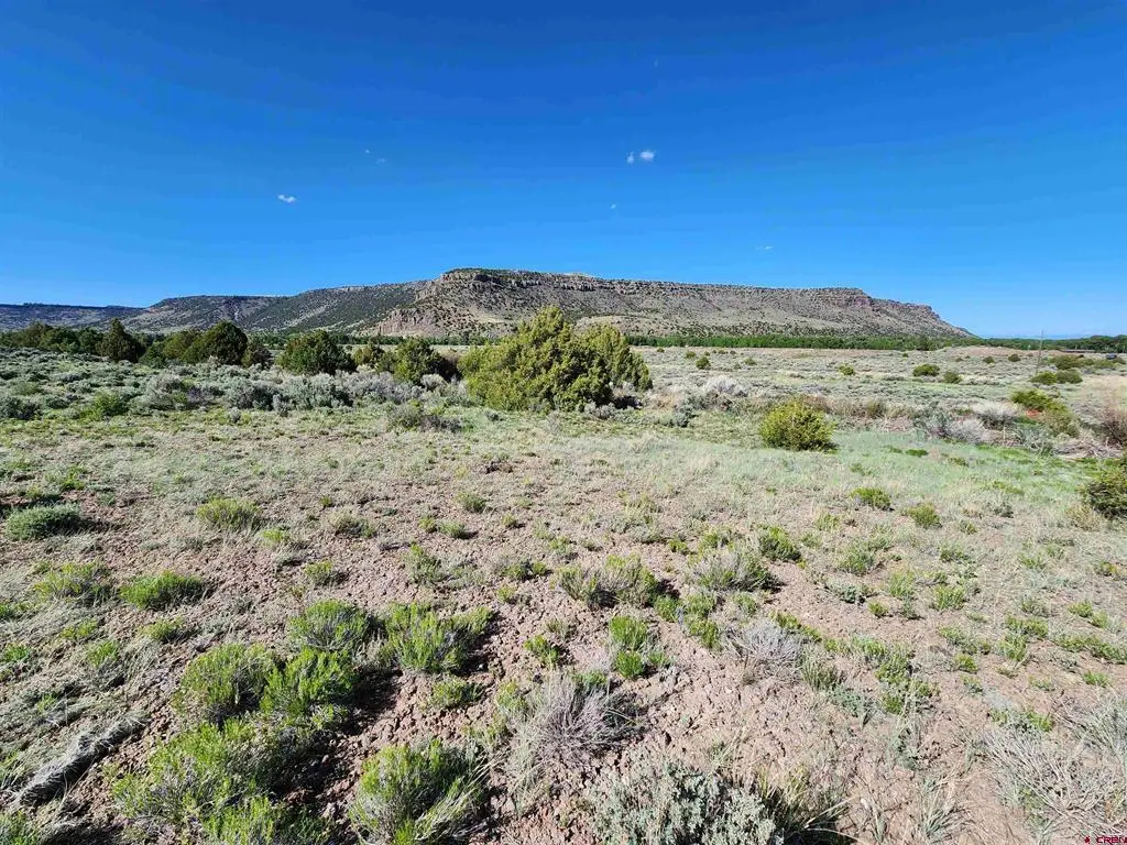 Lot 10 Conejos River Trails, Antonito, CO 81120 - #1