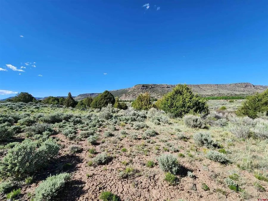 Lot 10 Conejos River Trails, Antonito, CO 81120 - #3