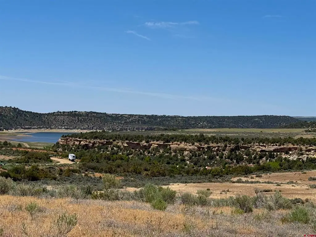 29373 Hwy 184, Dolores, CO 81323 - #1