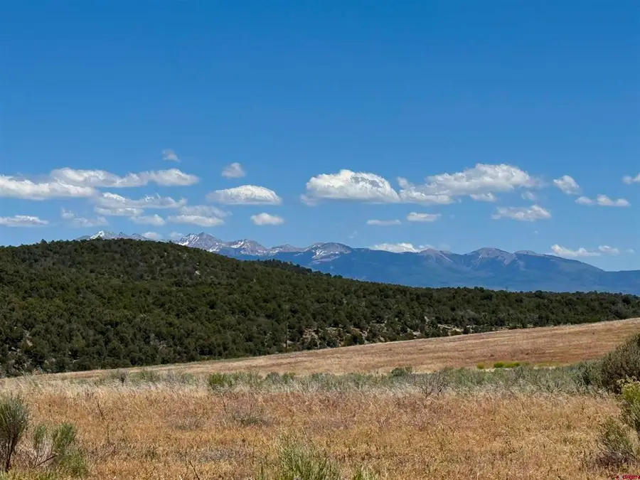 29373 Hwy 184, Dolores, CO 81323 - #3