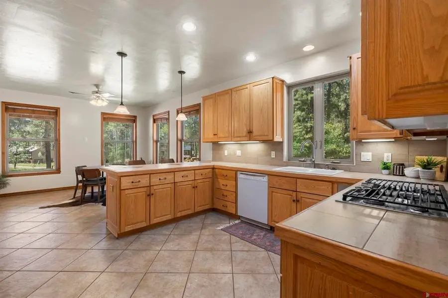 507 Deer Ridge Drive, Bayfield, CO 81122 - #3