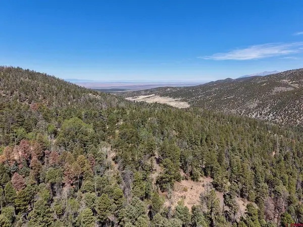 6031 Bruce Road, Fort  Garland, CO 81133