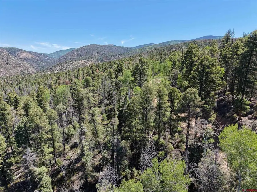 6031 Bruce Road, Fort Garland, CO 81133 - #2