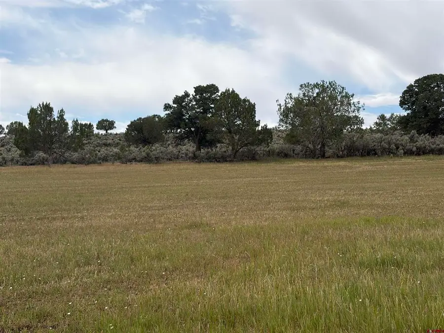 TBD Cactuspark Road, Cedaredge, CO 81413 - #2