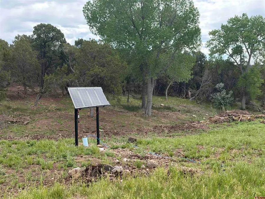 TBD Cactuspark Road, Cedaredge, CO 81413 - #3