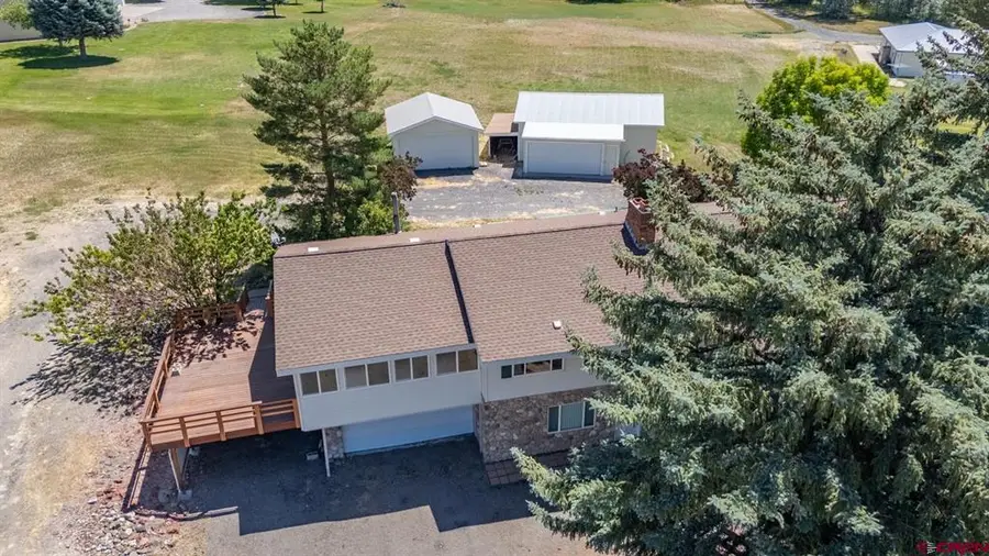 21369 Spruce Lane, Cedaredge, CO 81413 - #2