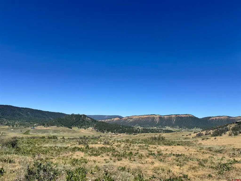 764 Irwins Place, Chromo, CO 81128 - #1