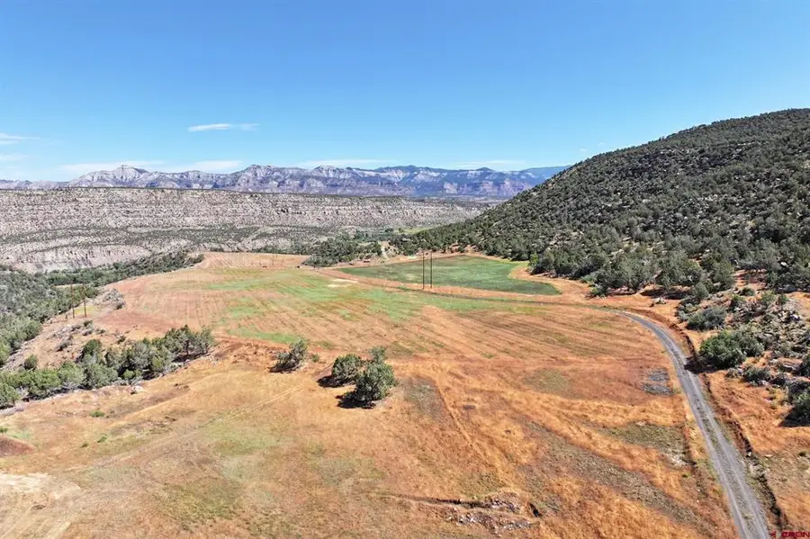 5402 Ke Road, Collbran, CO 81624 - #2