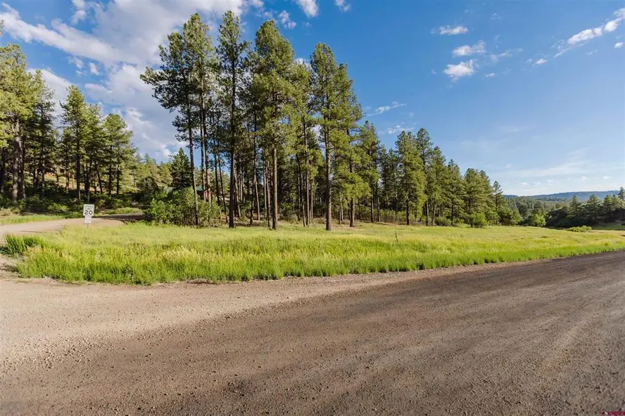 359 Ironwood Drive, Pagosa Springs, CO 81147 - #2