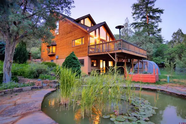 92 Trunk Road, Placerville, CO 81430
