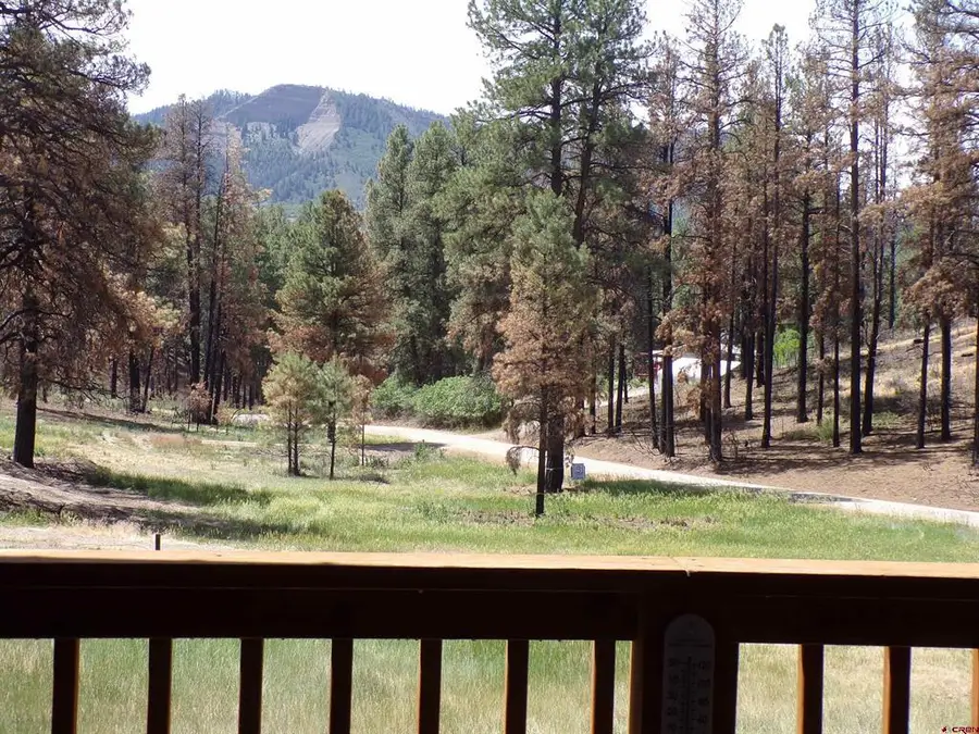 247 Spruce Circle, Pagosa Springs, CO 81147 - #2