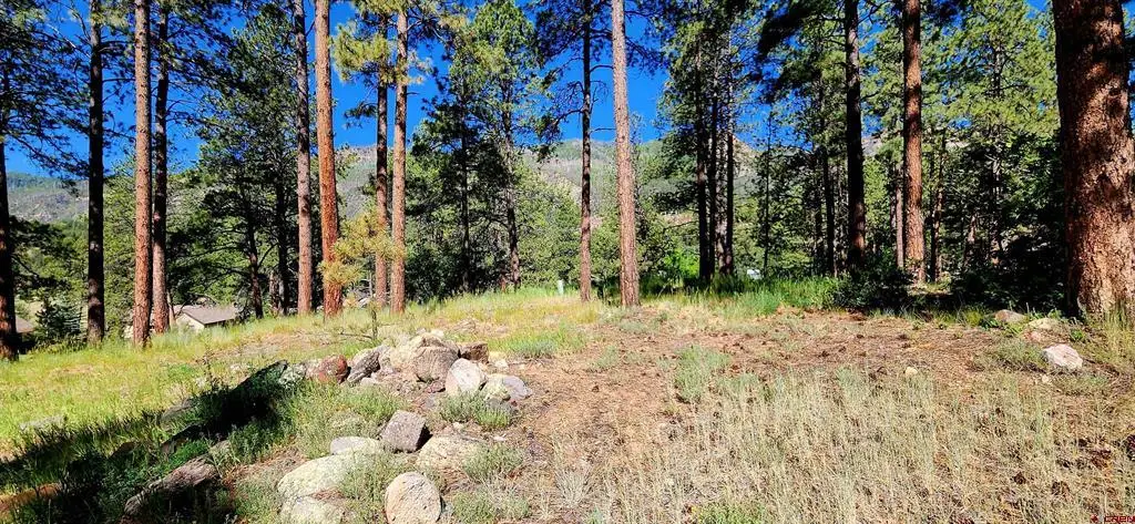 361 Hogan Circle, Durango, CO 81301 - #1