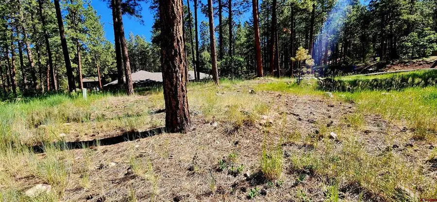 361 Hogan Circle, Durango, CO 81301 - #3