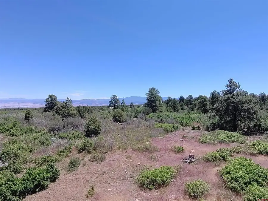 1748 Dave Wood Road, Montrose, CO 81403 - #2