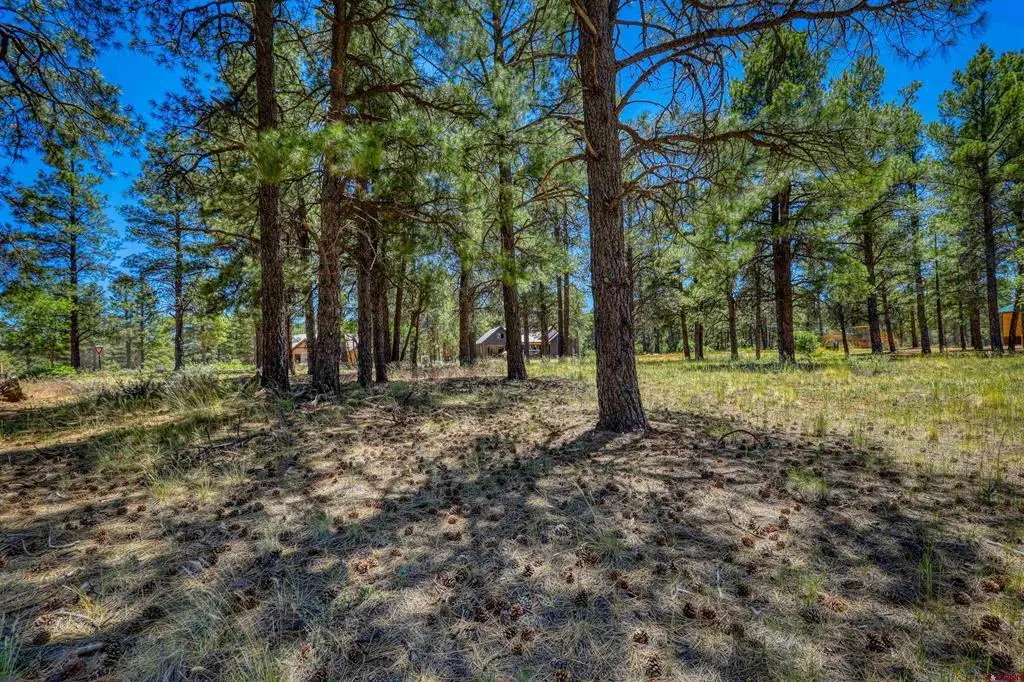 32 Monastery Court, Pagosa Springs, CO 81147 - #1