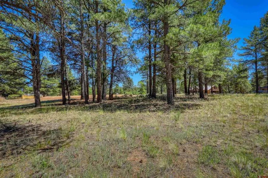 32 Monastery Court, Pagosa Springs, CO 81147 - #2
