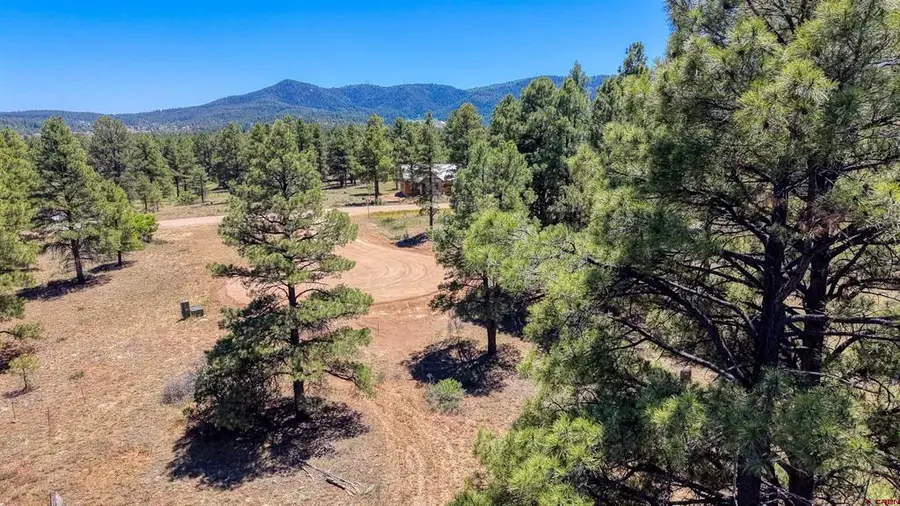 32 Monastery Court, Pagosa Springs, CO 81147 - #3