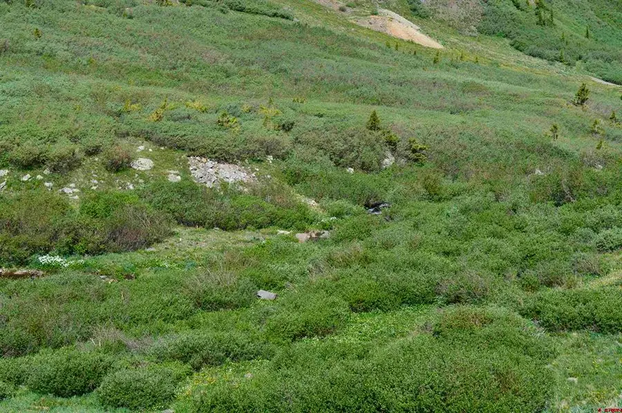 TBD Stoney Pass, Silverton, CO 81433 - #3