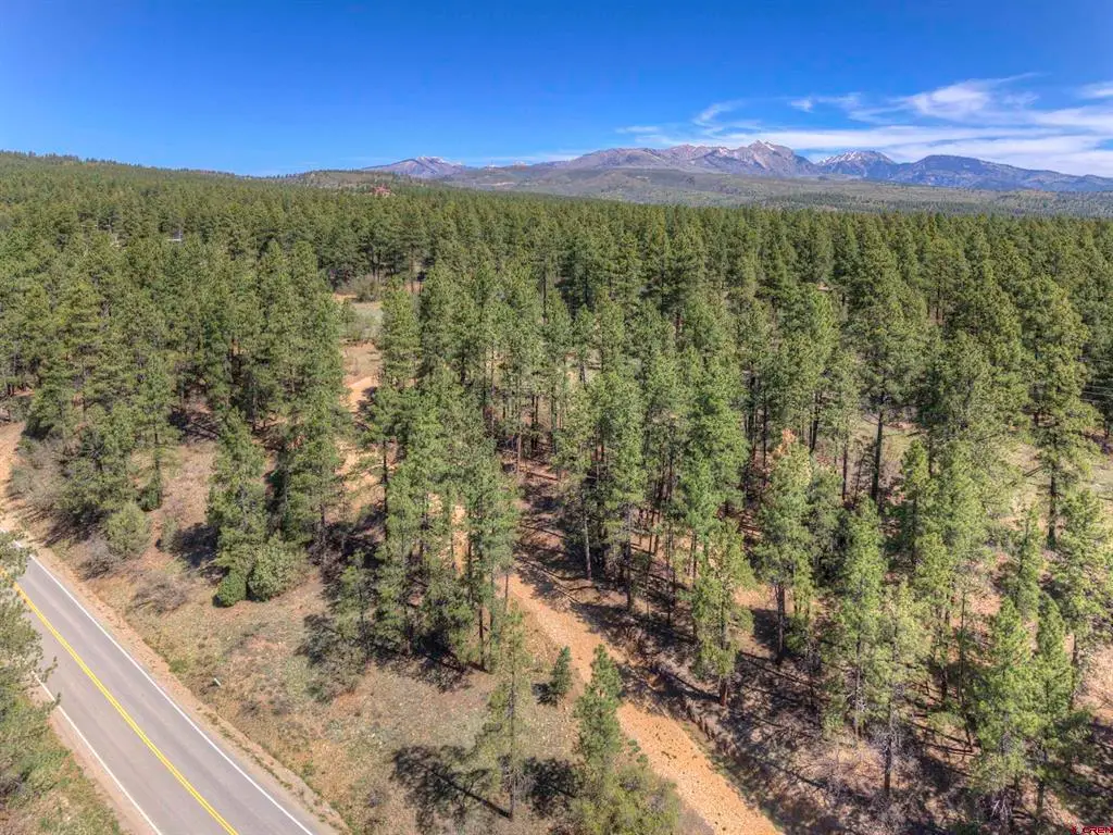 1100 Cr125, Durango, CO 81303 - #1