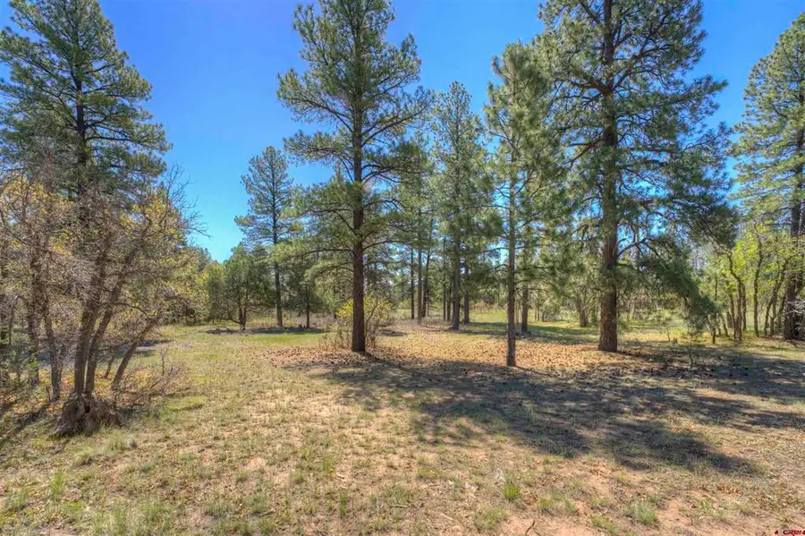 1100 Cr125, Durango, CO 81303 - #2
