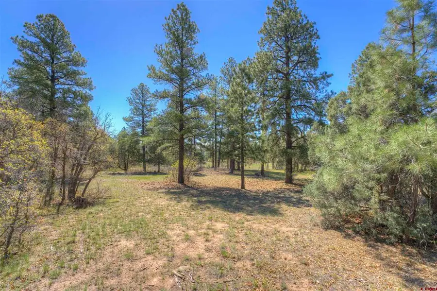 1100 Cr125, Durango, CO 81303 - #3