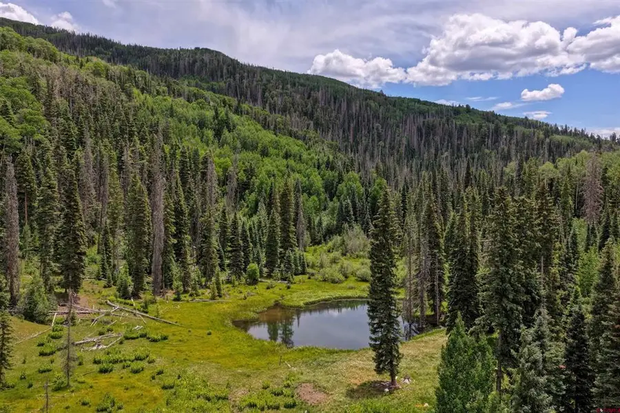 4566 Middle Mountain Road, Bayfield, CO 81122 - #2