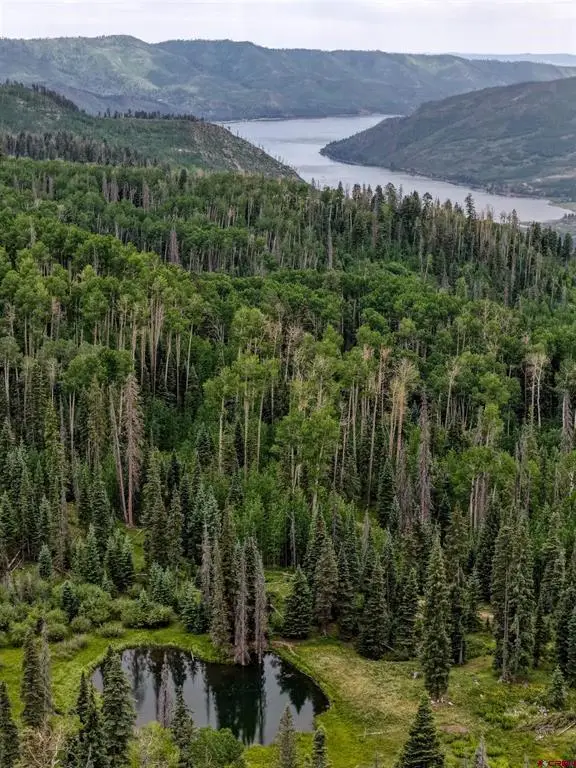 4566 Middle Mountain Road, Bayfield, CO 81122 - #3