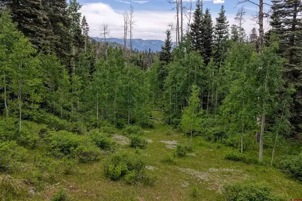 4556 Middle Mountain Road, Vallecito Lake/Bayfield, CO 81122