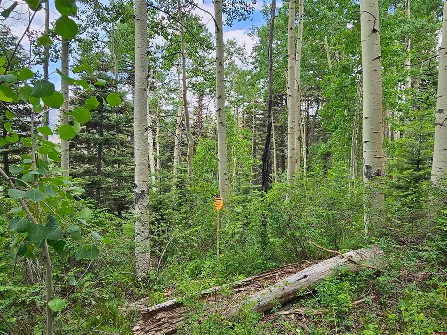 4556 Middle Mountain Road, Bayfield, CO 81122 - #2