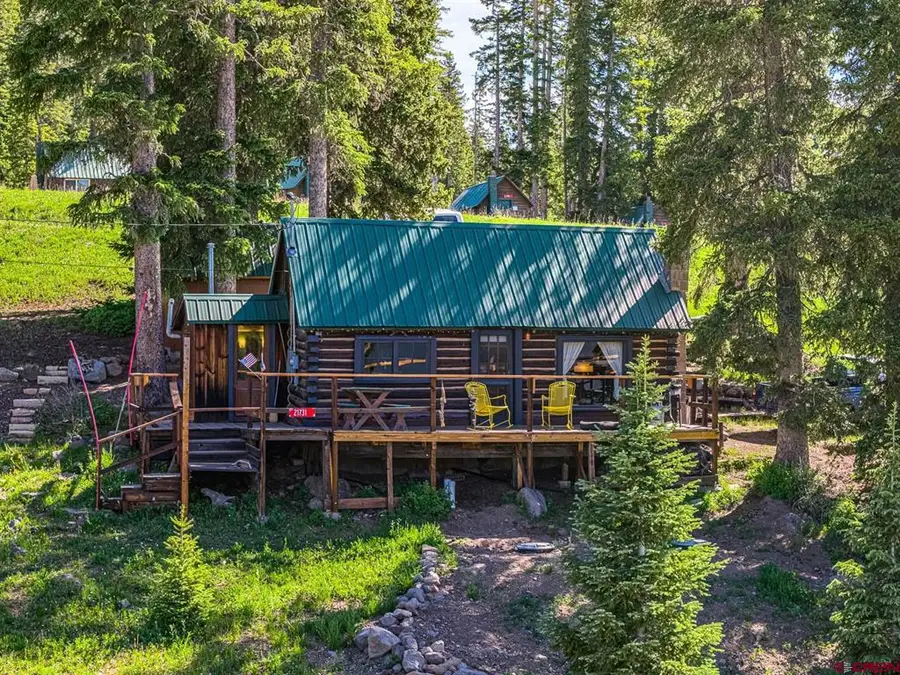 21731 Baron Lake Drive, Cedaredge, CO 81413 - #2