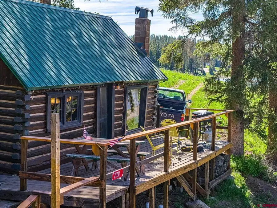 21731 Baron Lake Drive, Cedaredge, CO 81413 - #3