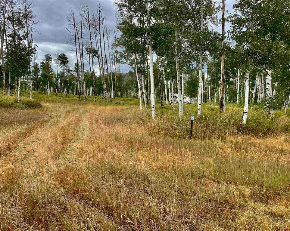 Lot 64 Groundhog Vista, Egnar, CO 81320 - #1